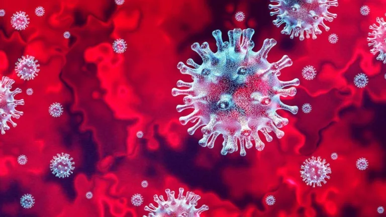 A bad virus destroys the heart TH 1024x542